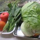 10月　似ている野菜・果物